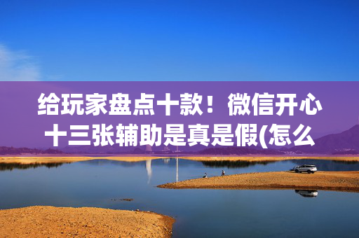给玩家盘点十款！微信开心十三张辅助是真是假(怎么打会赢)
