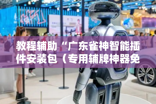 教程辅助“广东雀神智能插件安装包（专用辅牌神器免安装）