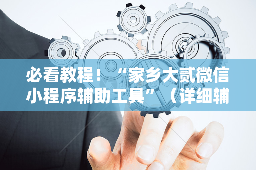 必看教程！“家乡大贰微信小程序辅助工具”（详细辅助教程）-哔哩哔哩
