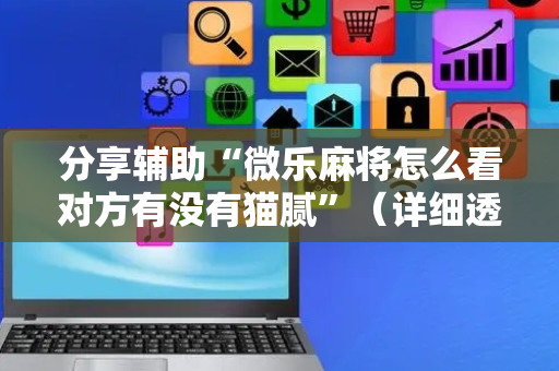分享辅助“微乐麻将怎么看对方有没有猫腻”（详细透视教程）-哔哩哔哩