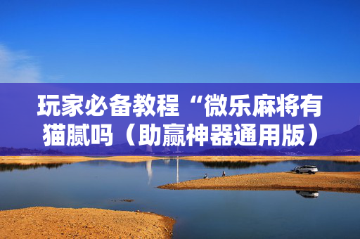 玩家必备教程“微乐麻将有猫腻吗（助赢神器通用版）