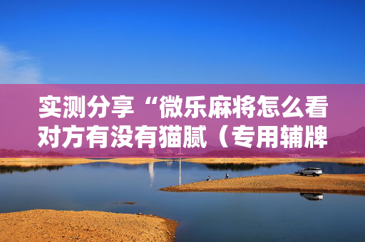 实测分享“微乐麻将怎么看对方有没有猫腻（专用辅牌神器免安装）