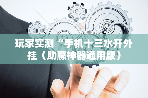 玩家实测“手机十三水开外挂（助赢神器通用版）