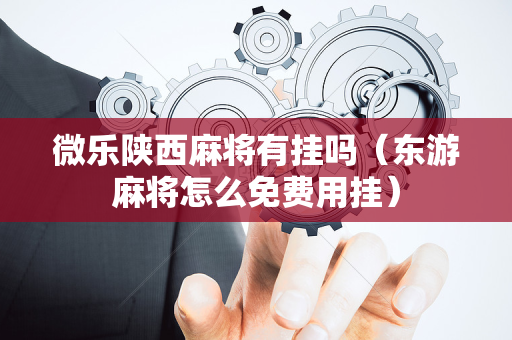 微乐陕西麻将有挂吗（东游麻将怎么免费用挂）