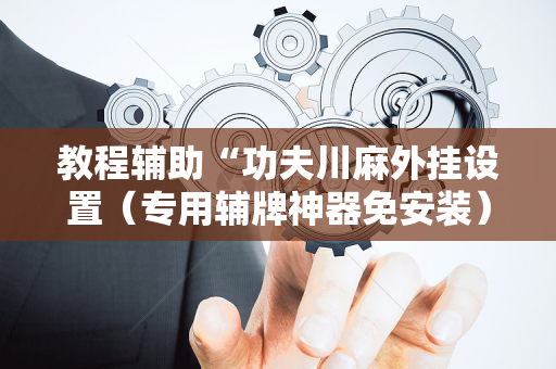教程辅助“功夫川麻外挂设置（专用辅牌神器免安装）