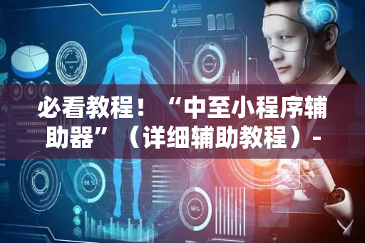 必看教程！“中至小程序辅助器”（详细辅助教程）-哔哩哔哩
