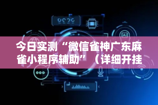 今日实测“微信雀神广东麻雀小程序辅助”（详细开挂教程）-哔哩哔哩