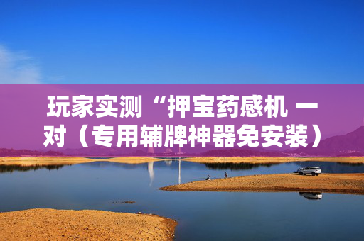 玩家实测“押宝药感机 一对（专用辅牌神器免安装）