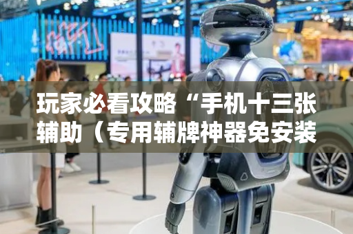 玩家必看攻略“手机十三张辅助（专用辅牌神器免安装）