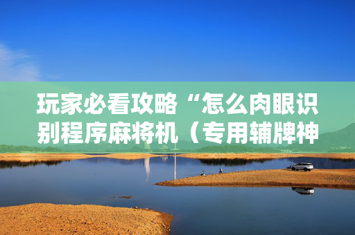 玩家必看攻略“怎么肉眼识别程序麻将机（专用辅牌神器免安装）