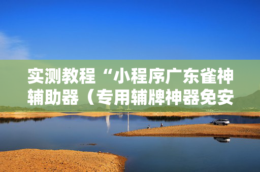 实测教程“小程序广东雀神辅助器（专用辅牌神器免安装）