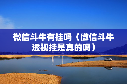微信斗牛有挂吗（微信斗牛透视挂是真的吗）