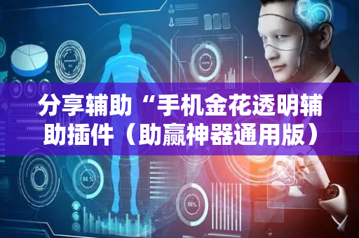 分享辅助“手机金花透明辅助插件（助赢神器通用版）
