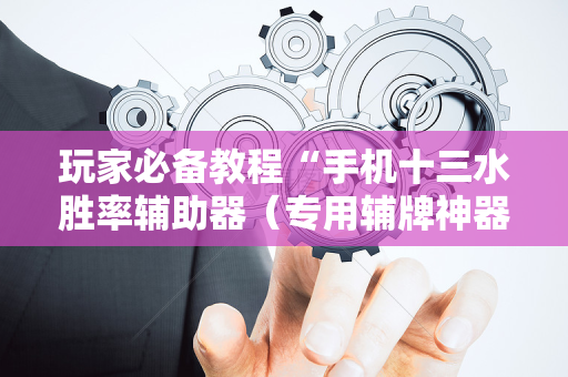 玩家必备教程“手机十三水胜率辅助器（专用辅牌神器免安装）