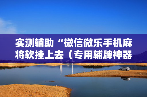 实测辅助“微信微乐手机麻将软挂上去（专用辅牌神器免安装）