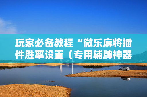 玩家必备教程“微乐麻将插件胜率设置（专用辅牌神器免安装）