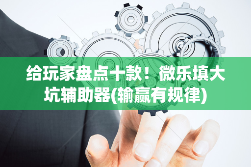给玩家盘点十款！微乐填大坑辅助器(输赢有规律)
