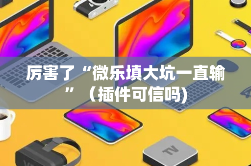 厉害了“微乐填大坑一直输”（插件可信吗)