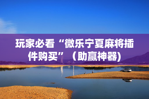 玩家必看“微乐宁夏麻将插件购买”（助赢神器)