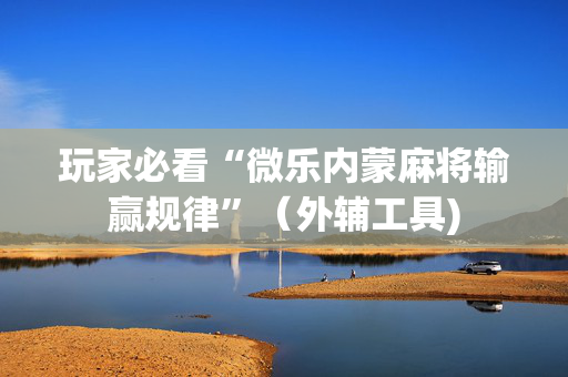 玩家必看“微乐内蒙麻将输赢规律”（外辅工具)