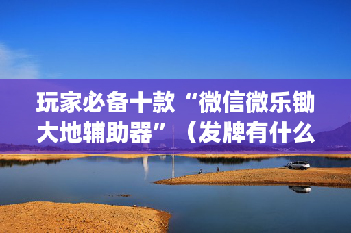 玩家必备十款“微信微乐锄大地辅助器”（发牌有什么规律吗)