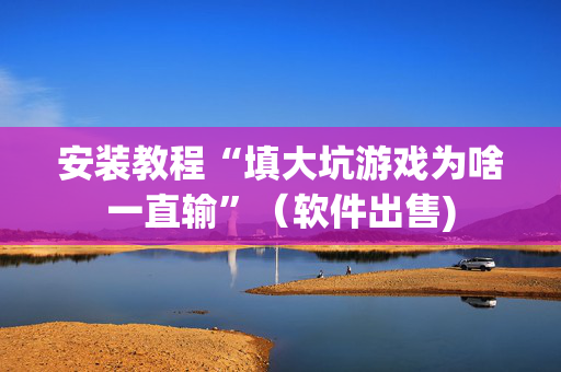 安装教程“填大坑游戏为啥一直输”（软件出售)
