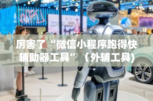 厉害了“微信小程序跑得快辅助器工具”（外辅工具)