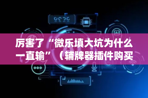 厉害了“微乐填大坑为什么一直输”（辅牌器插件购买)