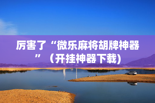 厉害了“微乐麻将胡牌神器”（开挂神器下载)