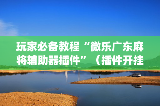 玩家必备教程“微乐广东麻将辅助器插件”（插件开挂免费AI)