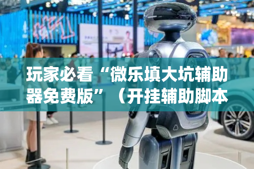 玩家必看“微乐填大坑辅助器免费版”（开挂辅助脚本)