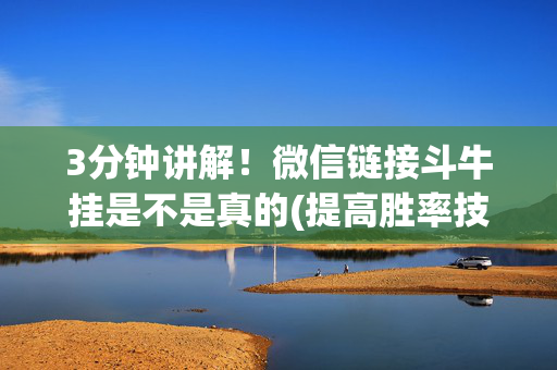 3分钟讲解！微信链接斗牛挂是不是真的(提高胜率技巧)