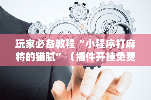 玩家必备教程“小程序打麻将的猫腻”（插件开挂免费AI)