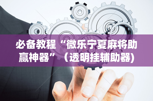 必备教程“微乐宁夏麻将助赢神器”（透明挂辅助器)