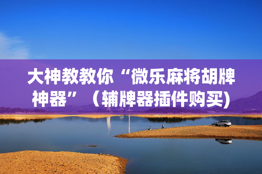 大神教教你“微乐麻将胡牌神器”（辅牌器插件购买)