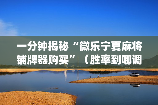 一分钟揭秘“微乐宁夏麻将铺牌器购买”（胜率到哪调)