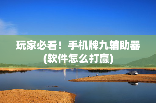 玩家必看！手机牌九辅助器(软件怎么打赢)