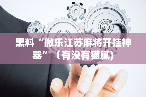黑料“微乐江苏麻将开挂神器”（有没有猫腻)