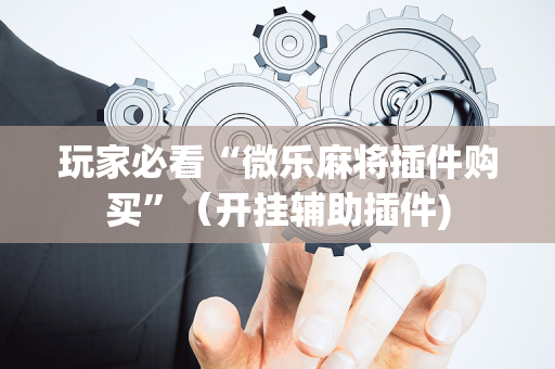 玩家必看“微乐麻将插件购买”（开挂辅助插件)