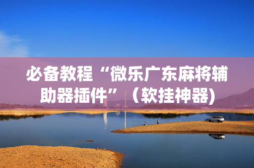 必备教程“微乐广东麻将辅助器插件”（软挂神器)