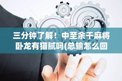 三分钟了解！中至余干麻将卧龙有猫腻吗(总输怎么回事)