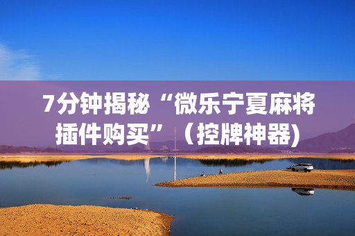 7分钟揭秘“微乐宁夏麻将插件购买”（控牌神器)