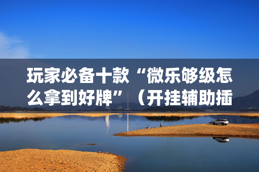 玩家必备十款“微乐够级怎么拿到好牌”（开挂辅助插件)