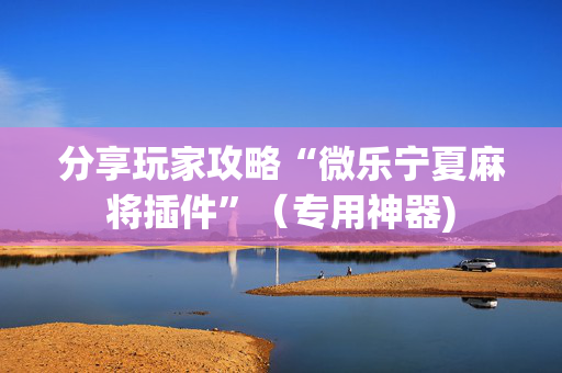 分享玩家攻略“微乐宁夏麻将插件”（专用神器)