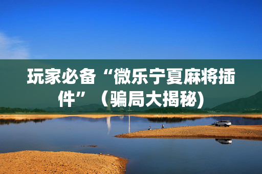 玩家必备“微乐宁夏麻将插件”（骗局大揭秘)