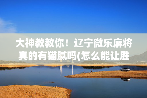 大神教教你！辽宁微乐麻将真的有猫腻吗(怎么能让胜率高)