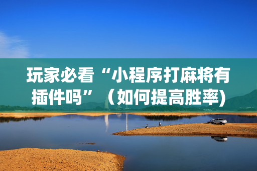 玩家必看“小程序打麻将有插件吗”（如何提高胜率)