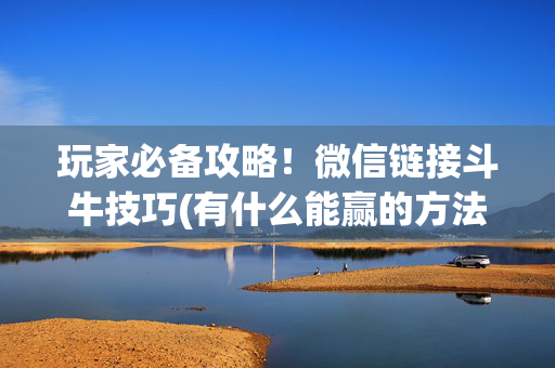 玩家必备攻略！微信链接斗牛技巧(有什么能赢的方法)
