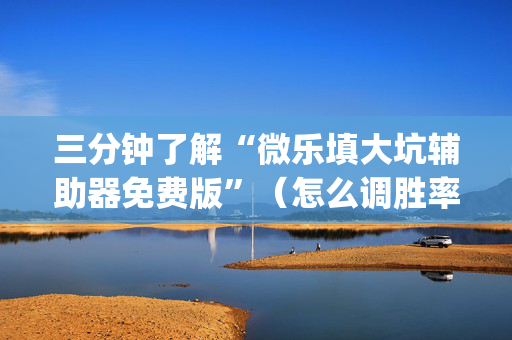 三分钟了解“微乐填大坑辅助器免费版”（怎么调胜率)