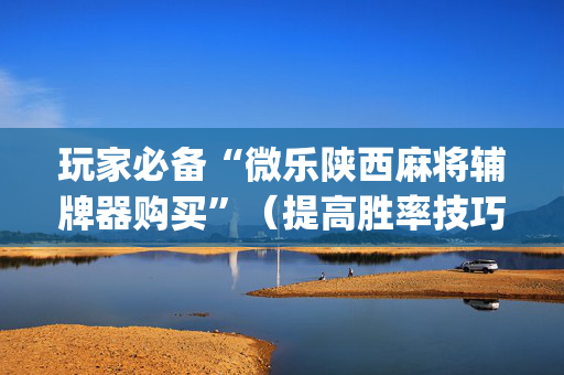 玩家必备“微乐陕西麻将辅牌器购买”（提高胜率技巧)